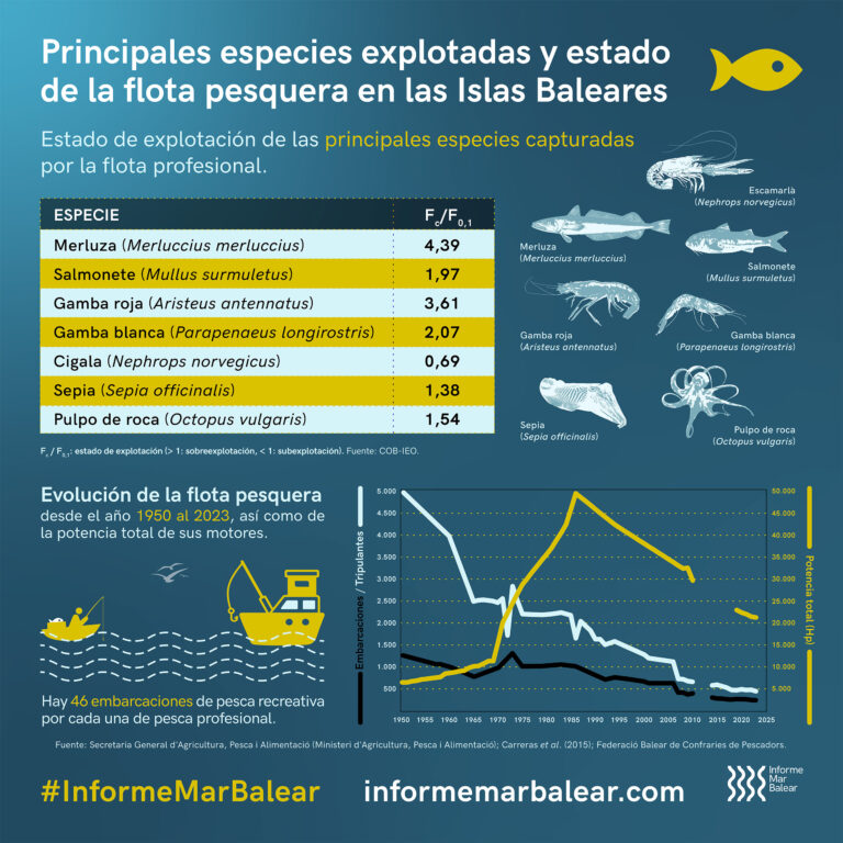 Principales especies explotadas