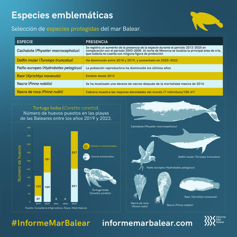 Especies emblemáticas - Selección de especies protegidas del mar Balear