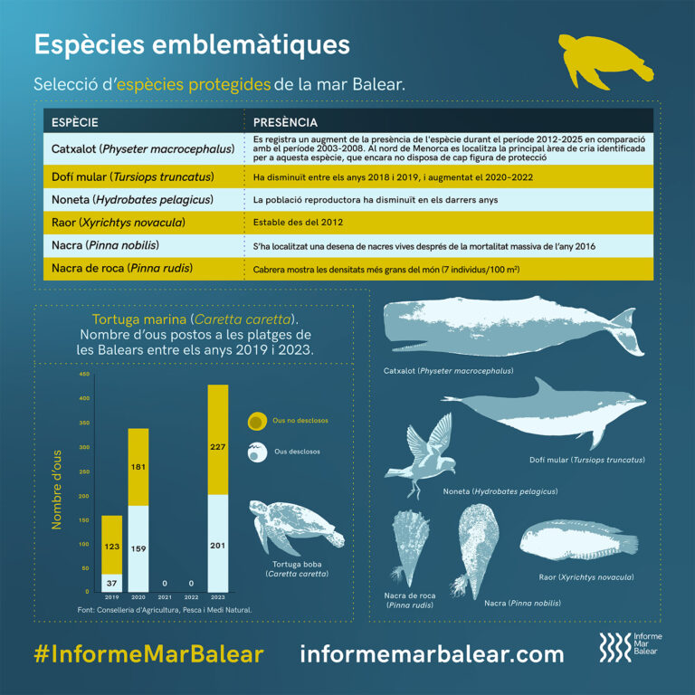 Espècies emblemàtiques - Selecció d’espècies protegides de la mar Balear