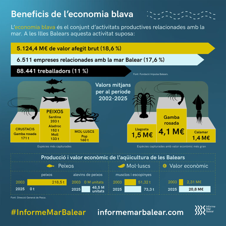 Beneficis de l'economia blava en 2026