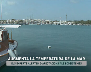 Els experts alerten que augmenta la temperatura de la mar balear
