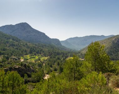 Desaladoras de Mallorca