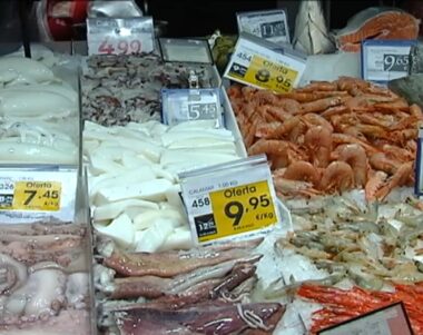 Pesca professional i l’aqüicultura marina de les Balears